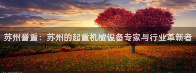 威九国际可以提现吗：苏州誉重：苏州的起重机械设备专家与行业革