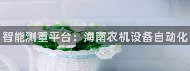 威九国际和之前
