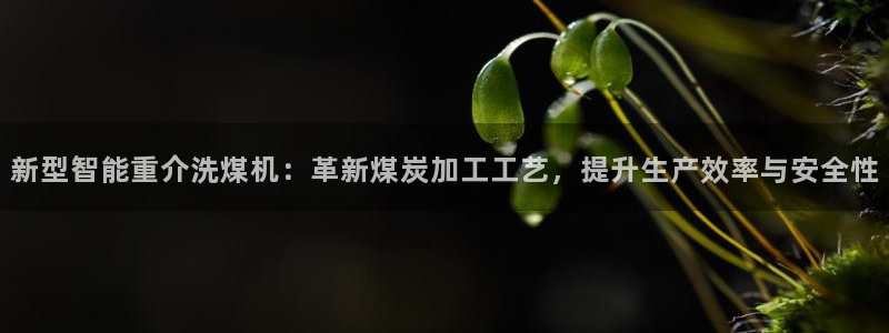 威九国际精