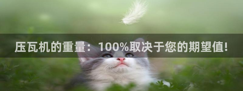 威九国际网站入口官网游戏推荐：压瓦机的重量：100%取决于您