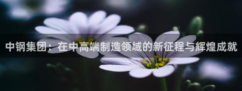威九国际66m入口：中钢集团：在中高端制造领域的新征程与辉煌
