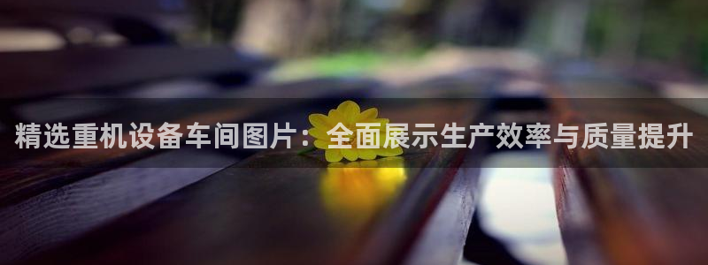 威九国际海域：精选重机设备车间图片：全面展示生产效率与质量提