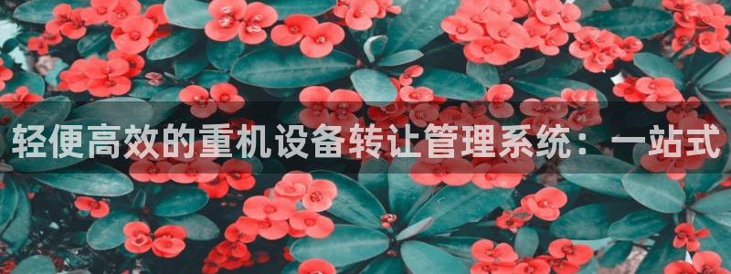威九国际网站入口官网首页登录：轻便高效的重机设备转让管理系统