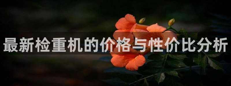 威九国际后爸：最新检重机的价格与性价比分析