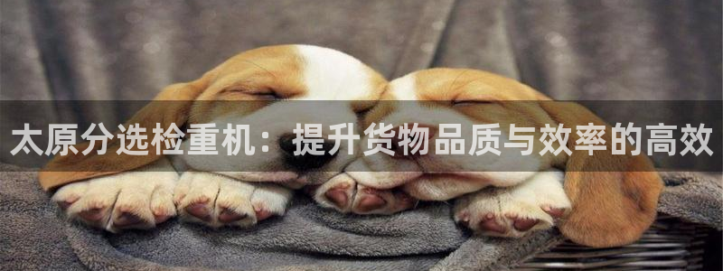 威九国际精彩推荐怎么样：太原分选检重机：提升货物品质与效率的