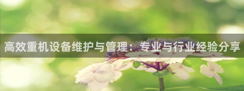 威九国际后爸：高效重机设备维护与管理：专业与行业经验分享