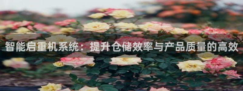 威九国际免费版