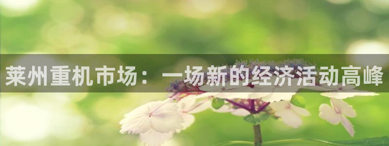 威九国际v96242cc官网版
