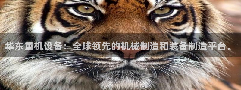 威九国际图片