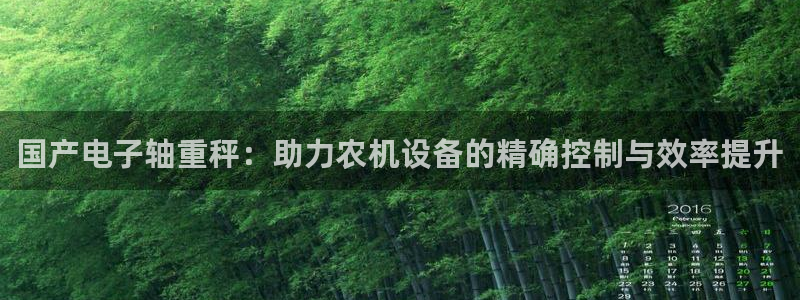 威九国际软件公司简介