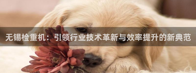保定威九网络科技有限公司招聘