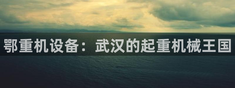 威九国际空降服务女演员叫什么名字：鄂重机设备：武汉的起重机械