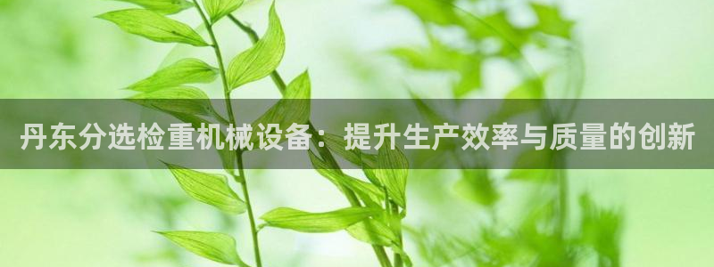 威九国际能提现吗安全吗：丹东分选检重机械设备：提升生产效率与
