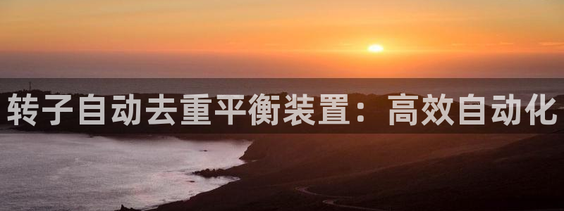 威九国际替好友去：转子自动去重平衡装置：高效自动化