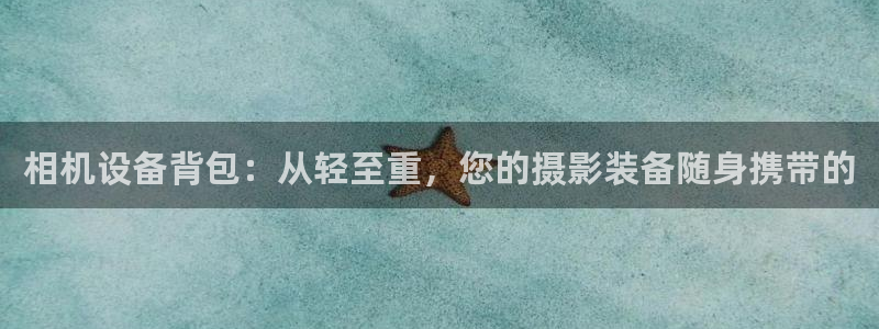 威九国际演员表