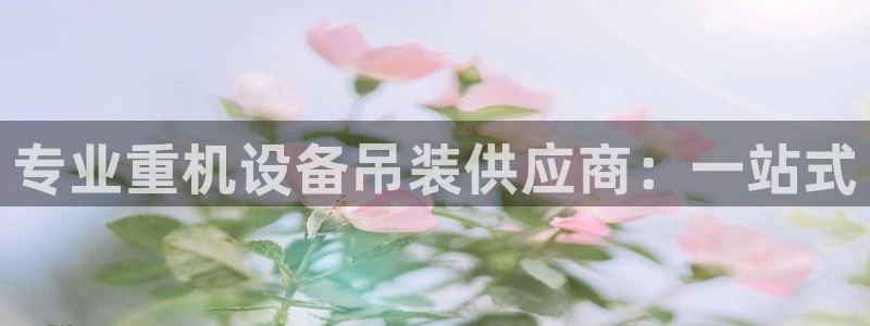 威九国际78m-MBA智库百科