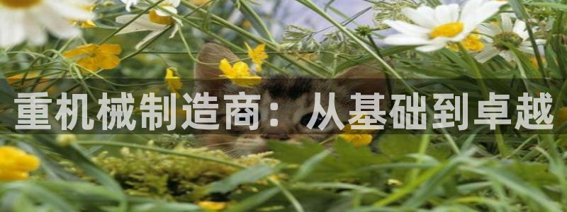 威九国际v18：重机械制造商：从基础到卓越