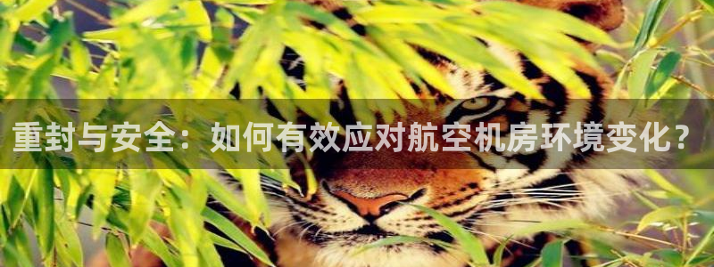 威九国际游戏app网址：重封与安全：如何有效应对航空机房环境
