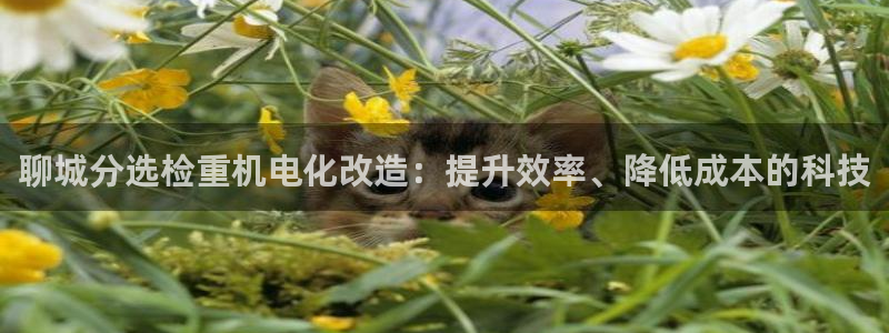威九国际坑人的嘛：聊城分选检重机电化改造：提升效率、降低成本