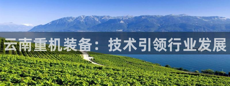 威九国际78m78下载