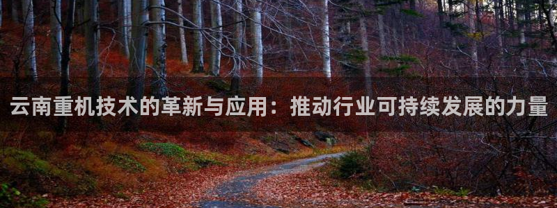 威九国际EVA：云南重机技术的革新与应用：推动行业可持续发展