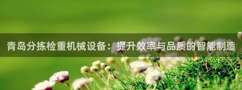 威九国际入囗：青岛分拣检重机械设备：提升效率与品质的智能制造