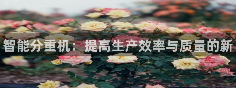 威九国际网站怎么样知乎：智能分重机：提高生产效率与质量的新