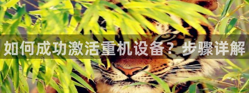 威九国际网站在哪里：如何成功激活重机设备？步骤详解