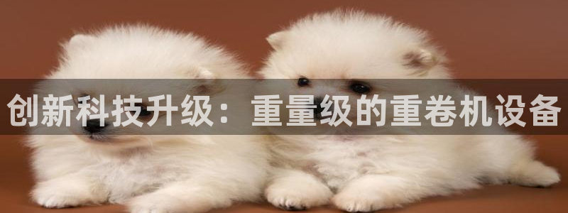 威九国际空降服务怎么样：创新科技升级：重量级的重卷机设备