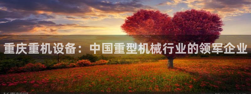 78m.ppt威九国际官网版：重庆重机设备：中国重型机械行业