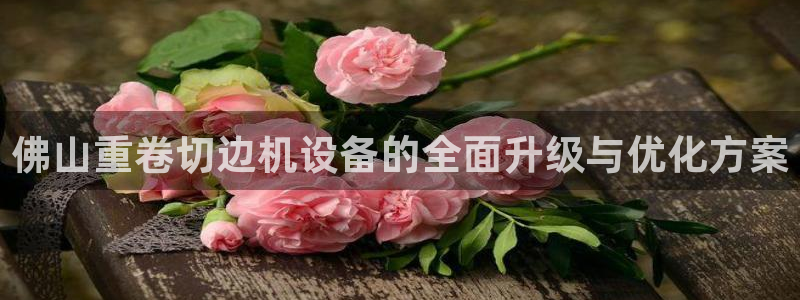 威九国际空降：佛山重卷切边机设备的全面升级与优化方案