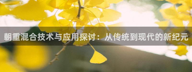 威九国际黄威尼斯：朝重混合技术与应用探讨：从传统到现代的新纪