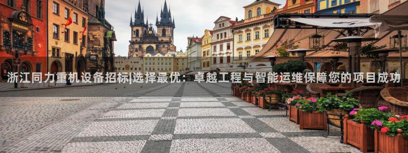 威九国际的金融服务怎么样：浙江同力重机设备招标|选择最优：卓