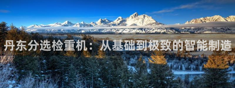 威九国际网站入囗：丹东分选检重机：从基础到极致的智能制造