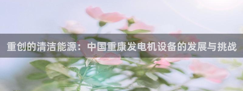 威九国际理论片最经典十首歌曲：重创的清洁能源：中国重康发电机