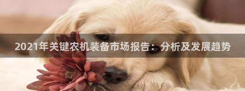 威九国际网站进入产品分类：2021年关键农机装备市场报告：分