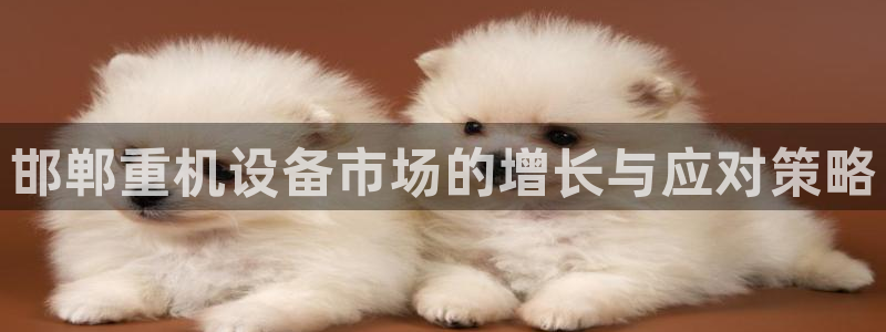 威九国际网站怎么样：邯郸重机设备市场的增长与应对策略