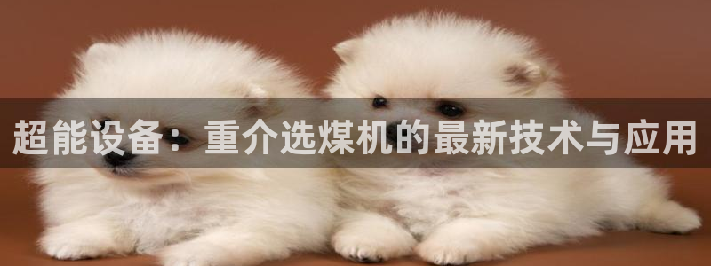 威九国际cm78：超能设备：重介选煤机的最新技术与应用