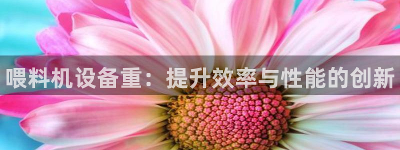 威九国际人民网招聘：喂料机设备重：提升效率与性能的创新