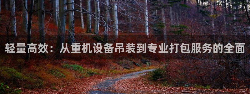 威九国际EVA：轻量高效：从重机设备吊装到专业打包服务的全面