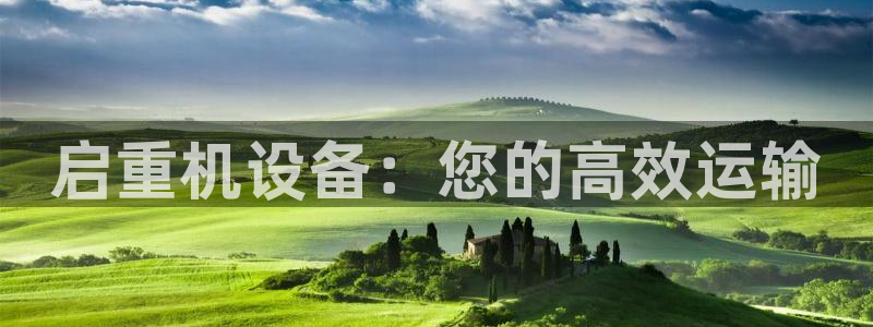 威九国际全国空降：启重机设备：您的高效运输