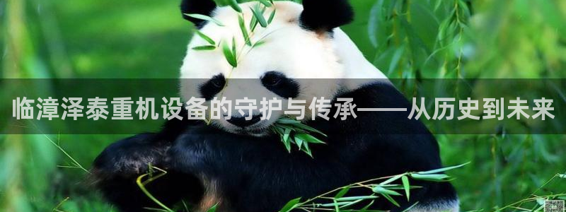 威九国际v96bet下载：临漳泽泰重机设备的守护与传承——从