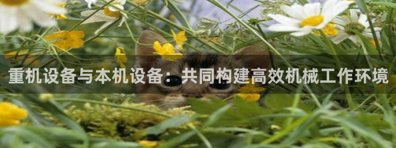 威九国际取款不会被骗吧吗：重机设备与本机设备：共同构建高效机