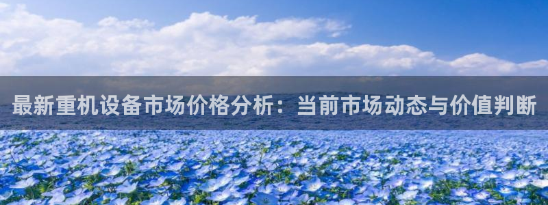 威九国际女明星：最新重机设备市场价格分析：当前市场动态与价值