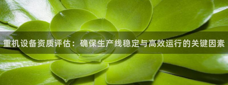 威九国际网站下载：重机设备资质评估：确保生产线稳定与高效运行