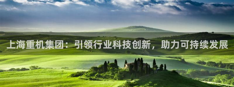 威九国际犯法吗：上海重机集团：引领行业科技创新，助力可持续发