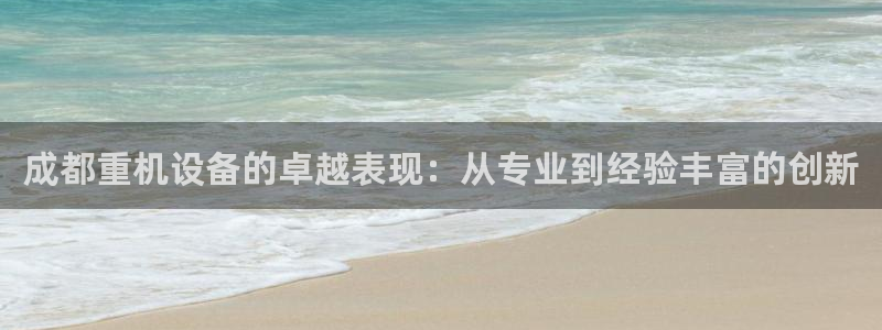 威九国际清砖码头怎么样：成都重机设备的卓越表现：从专业到经验