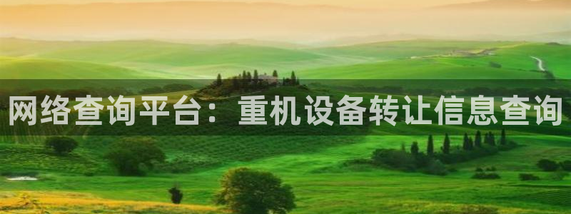 威九国际男主：网络查询平台：重机设备转让信息查询