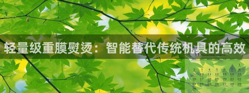 威九国际最新网站：轻量级重膜熨烫：智能替代传统机具的高效