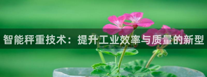 威九国际电影HD：智能秤重技术：提升工业效率与质量的新型